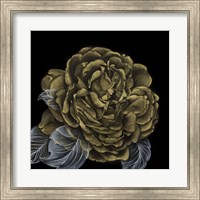 Framed River Roses II