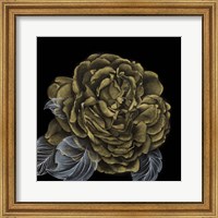 Framed River Roses II