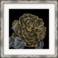 Framed River Roses II