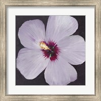 Framed Hibiscus Portrait I