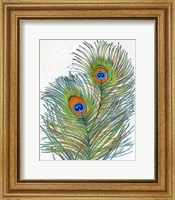 Framed Vivid Peacock Feathers I