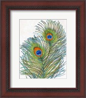 Framed Vivid Peacock Feathers I