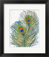 Framed Vivid Peacock Feathers I