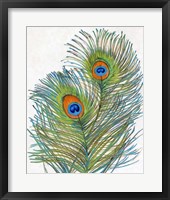 Framed Vivid Peacock Feathers I