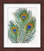Framed Vivid Peacock Feathers II