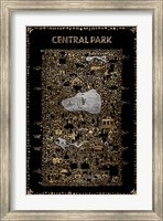 Framed Glam New York Collection-Central Park
