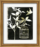Framed Branch & Bird I