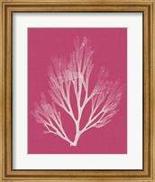 Framed Seaweed Pop III