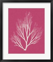 Seaweed Pop III Framed Print