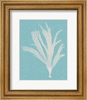 Framed Seaweed Pop IV