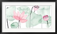 Framed Lotus in Nature IV