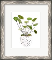 Framed 'Plant in a Pot II' border=