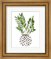 Framed Plant in a Pot III