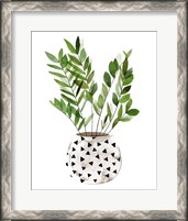 Framed Plant in a Pot III