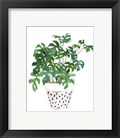 Framed 'Plant in a Pot IV' border=