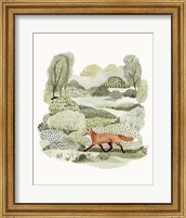 Framed Fox Glen II