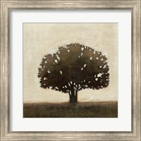Framed Tree of Solace II