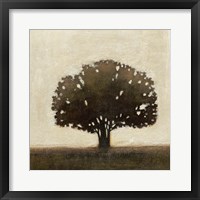 Framed Tree of Solace II