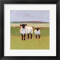 Framed Suffolk Sheep I