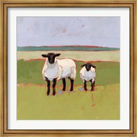 Framed Suffolk Sheep I