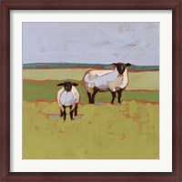 Framed Suffolk Sheep II