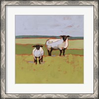 Framed Suffolk Sheep II