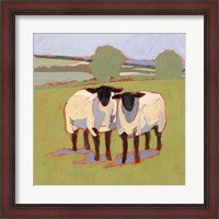 Framed Suffolk Sheep III