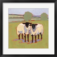Framed Suffolk Sheep III