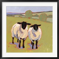 Framed Suffolk Sheep IV