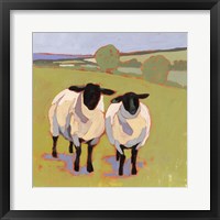 Framed Suffolk Sheep IV