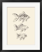 Framed Goldfish I