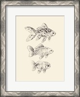 Framed Goldfish I