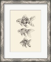 Framed Goldfish II