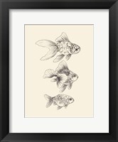 Framed Goldfish III