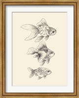 Framed Goldfish III