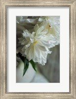 Framed White Peonies In Cream Pitcher 1