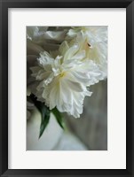 Framed White Peonies In Cream Pitcher 1