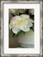 Framed White Peonies In Cream Pitcher 3