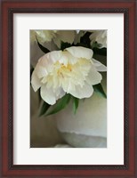 Framed White Peonies In Cream Pitcher 3