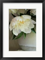 Framed White Peonies In Cream Pitcher 3