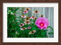 Framed Summer Garden Flowers 1