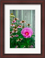 Framed Summer Garden Flowers 2