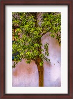 Framed Tree And Wall