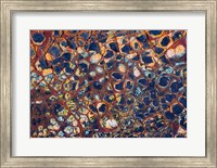 Framed Layers Of Worn Auto Paint Abstract 1