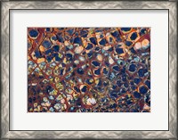 Framed Layers Of Worn Auto Paint Abstract 1