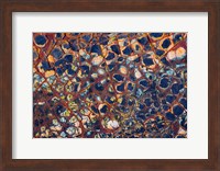 Framed Layers Of Worn Auto Paint Abstract 1