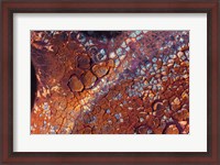 Framed Layers Of Worn Auto Paint Abstract 2