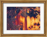 Framed Details Of Rust And Paint On Metal 1