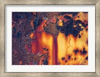 Framed Details Of Rust And Paint On Metal 1