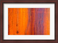 Framed Details Of Rust And Paint On Metal 5